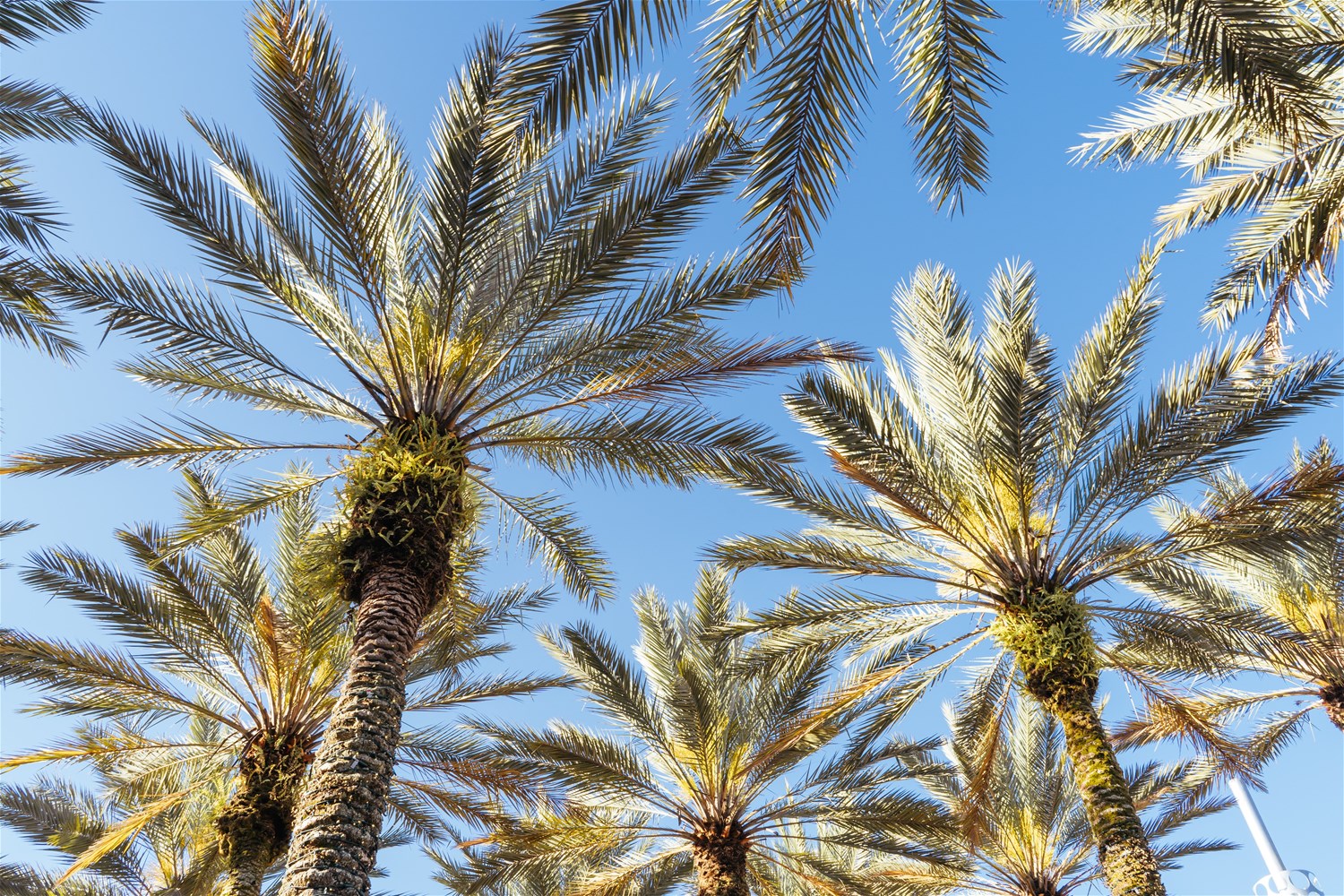 universal-orlando-resort-hotels-trailfinders