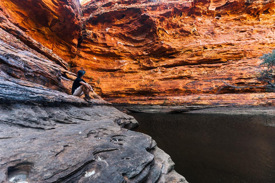 2 Night Uluru Red Centre Safari