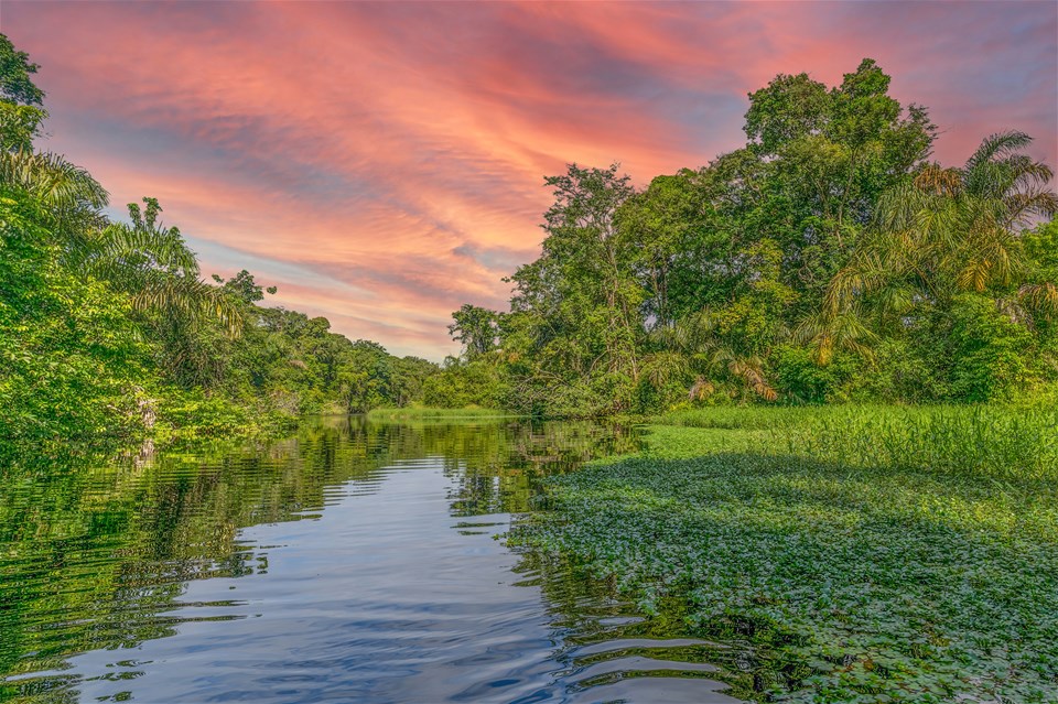 Discover Costa Rica