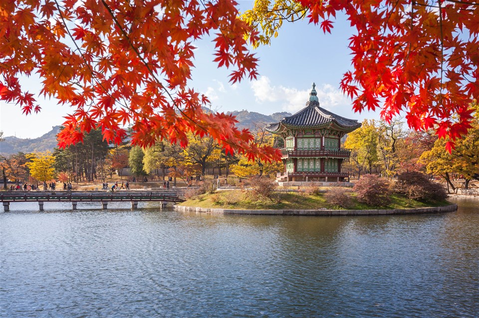 Discover South Korea