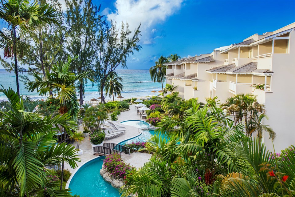 Bougainvillea Barbados