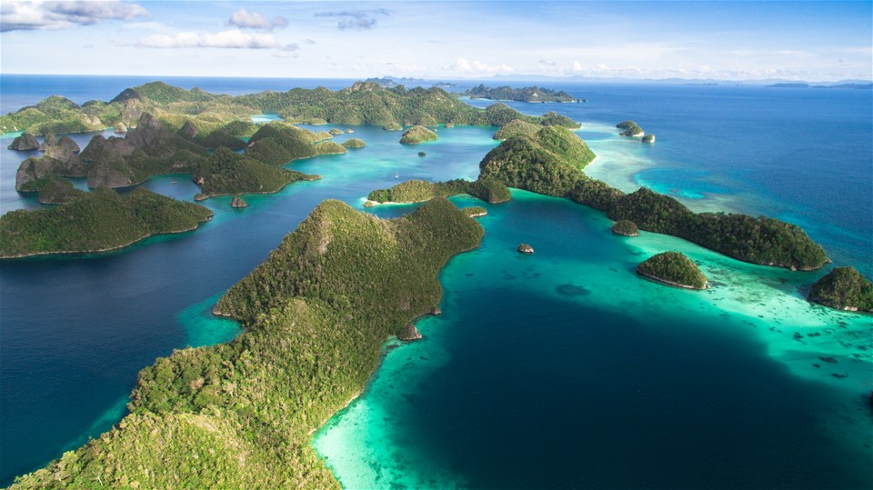 Jewels of Raja Ampat