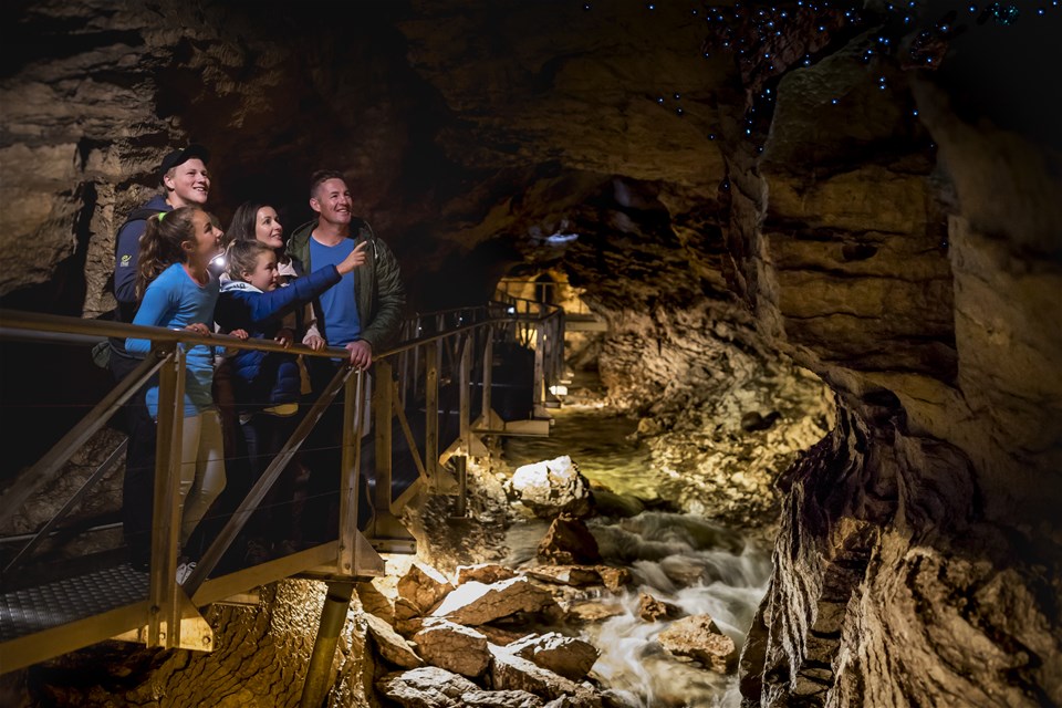 Te Anau Glowworm Caves