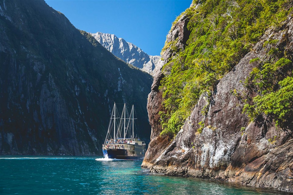 1 Night Milford Sound Cruise