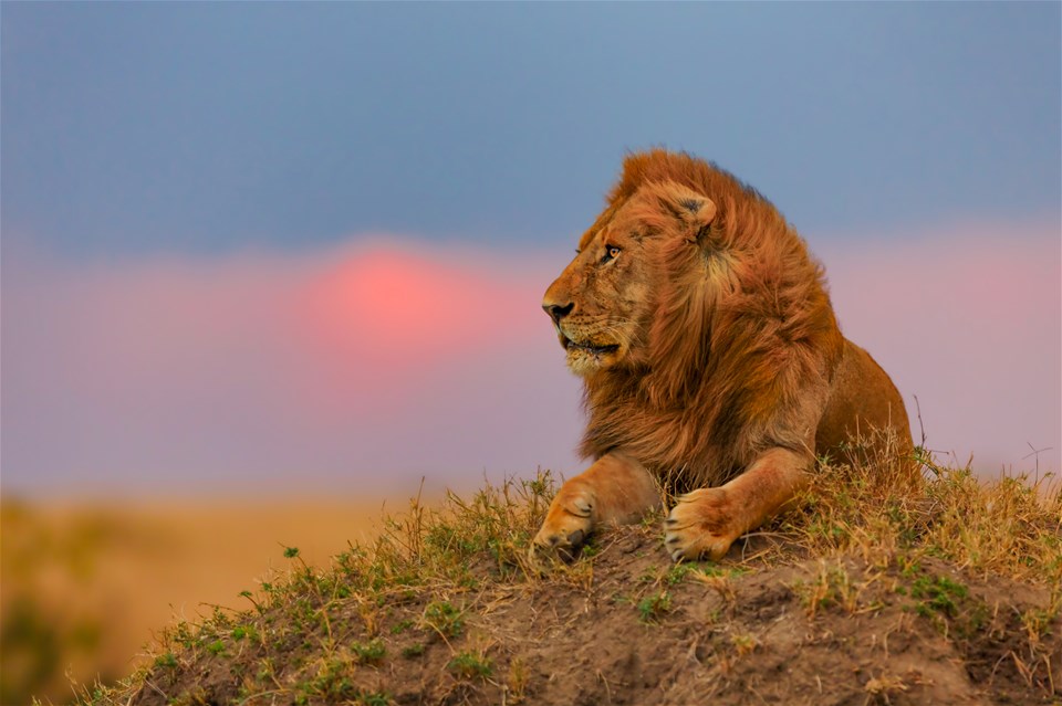 Scenic Kenya (small group)