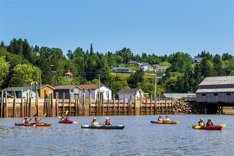 Bay of Fundy Kayak Tour