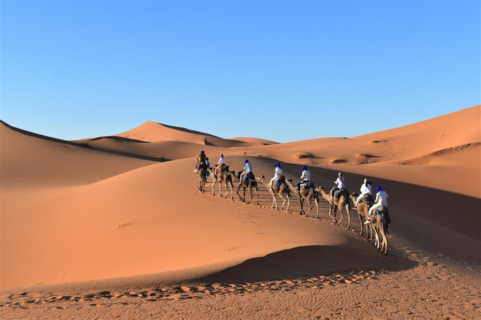 Journey to the Sahara - Private Tour