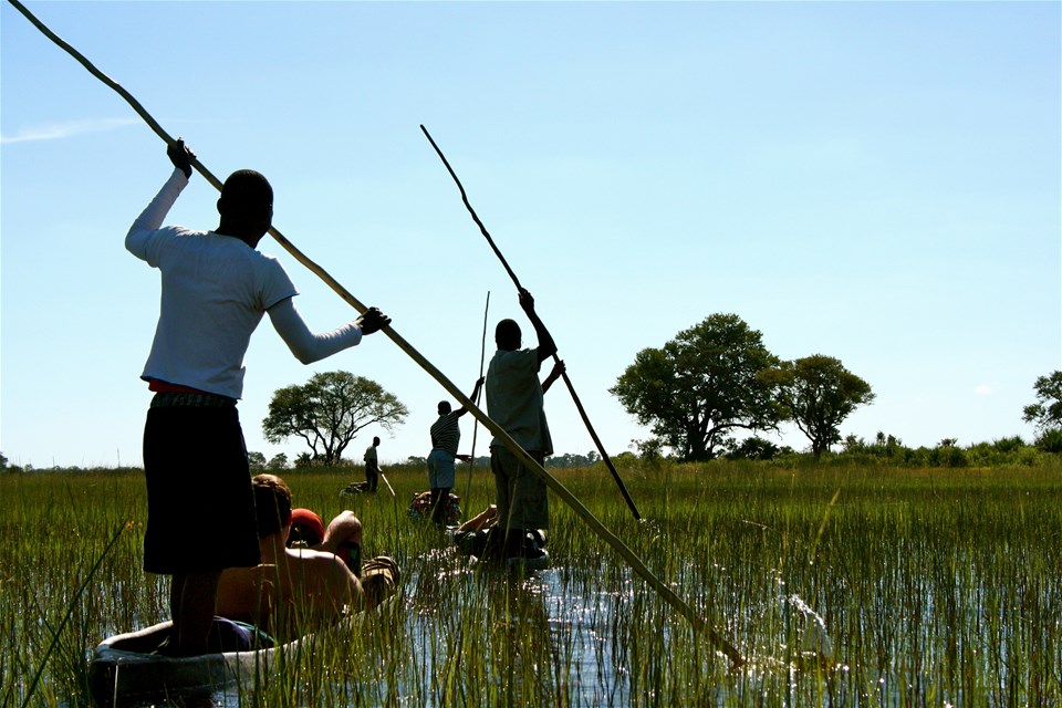 Journeys: Botswana & Zimbabwe Safari