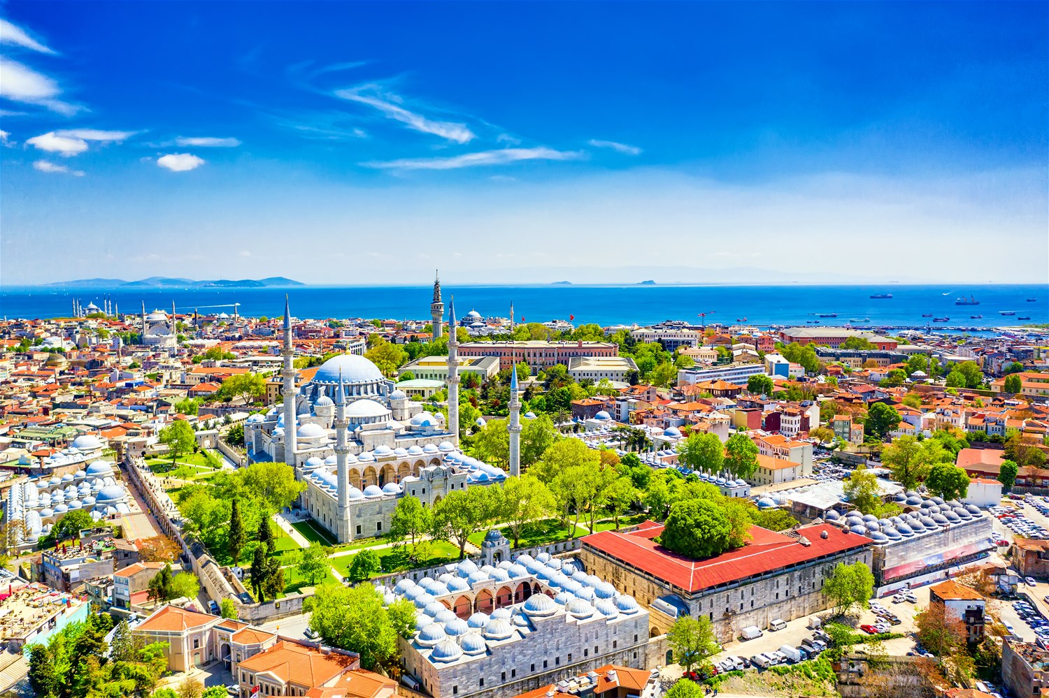 Connecting the World with Turkish Airlines