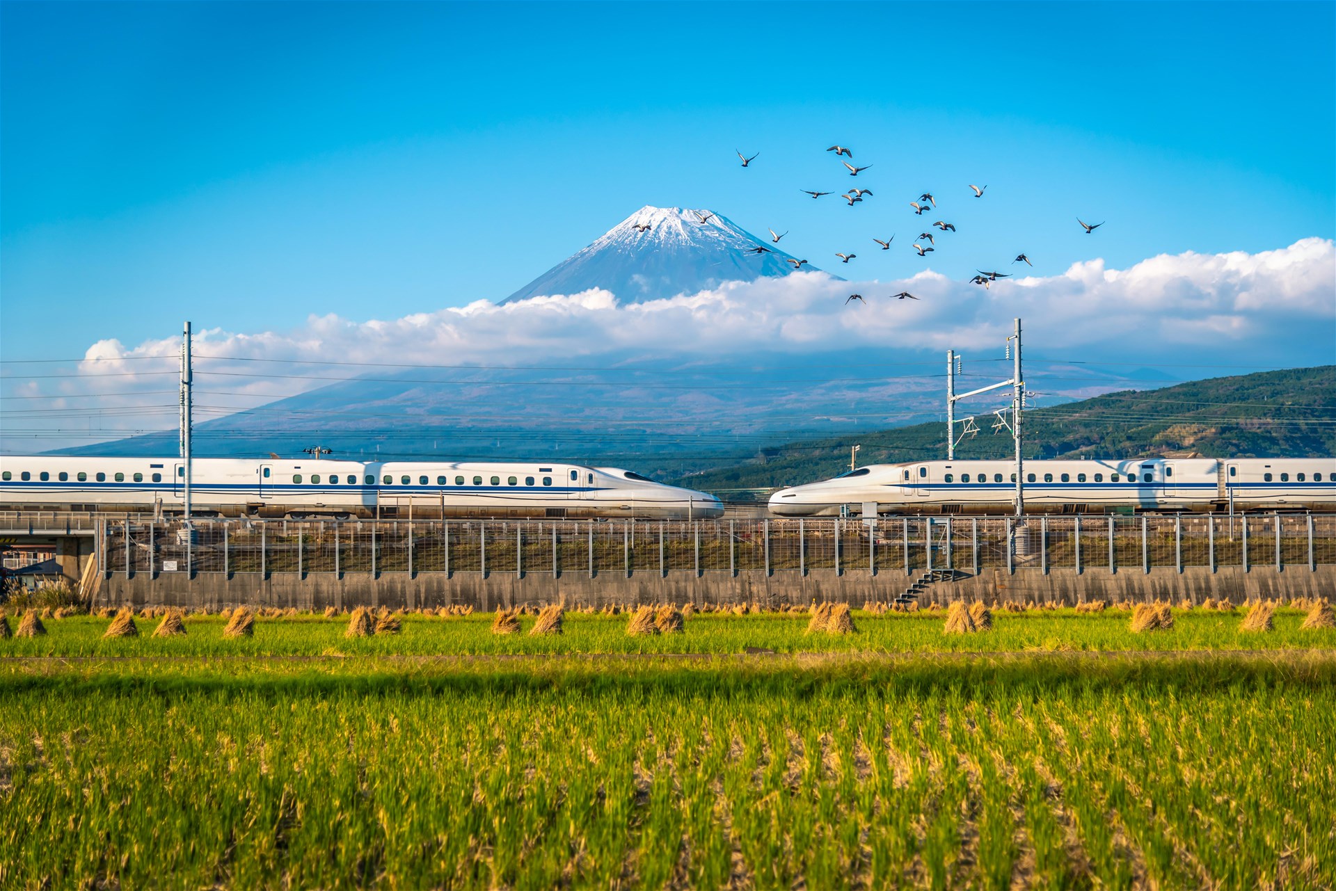 Japan by Rail