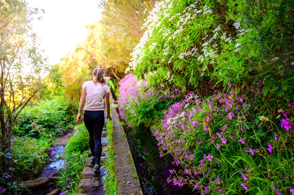 Madeira - Waterways & Flowers