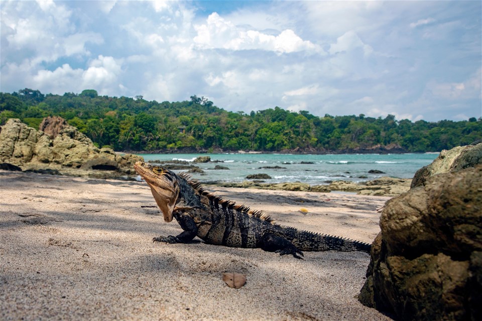 Discover Costa Rica