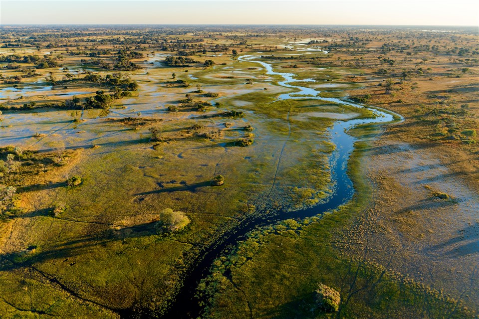 Premium Botswana