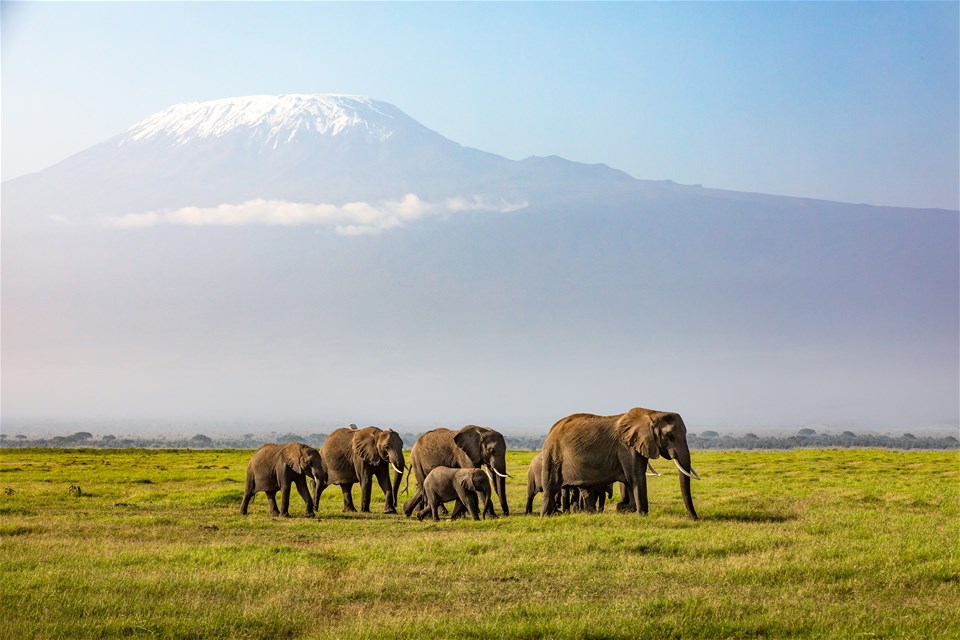 Kenya Classic (small group)