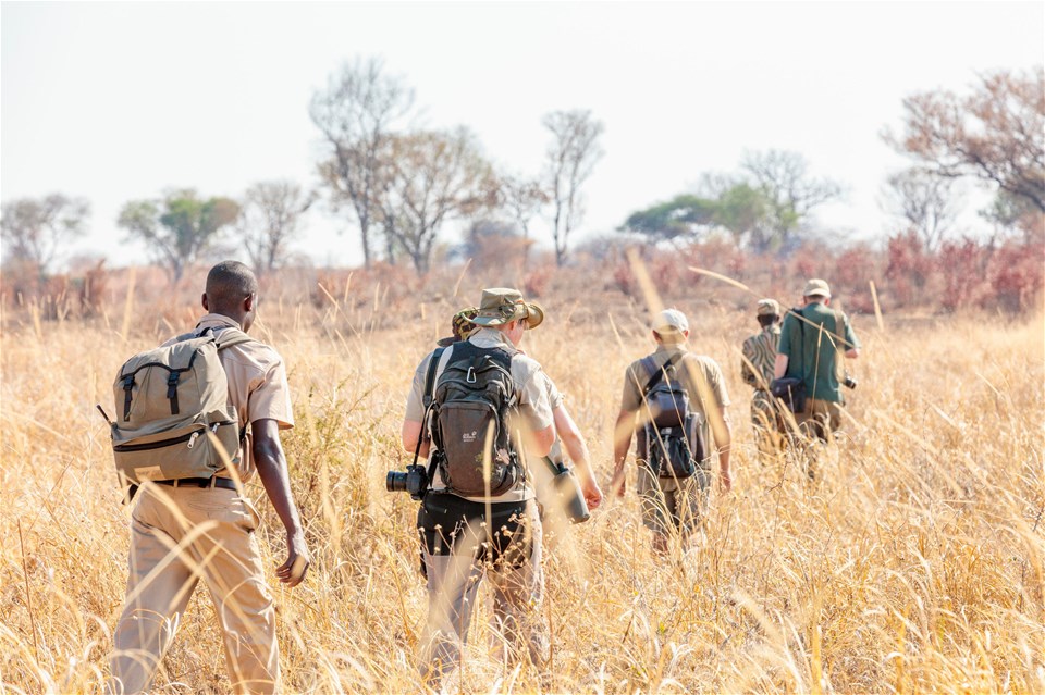 Victoria Falls & South Luangwa Walking Safari