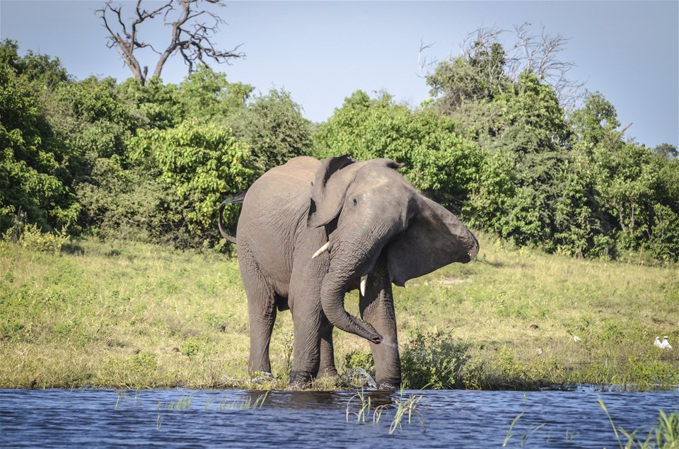 Zimbabwe & Botswana Chobe, Hwange & Lake Kariba