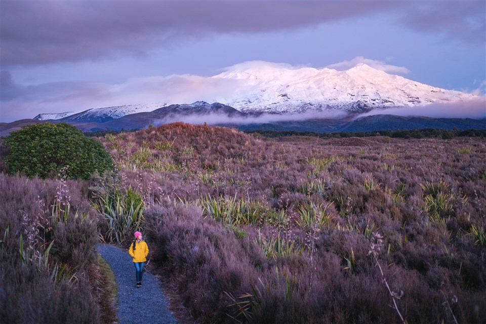 Tongariro Sunset Guided Walk