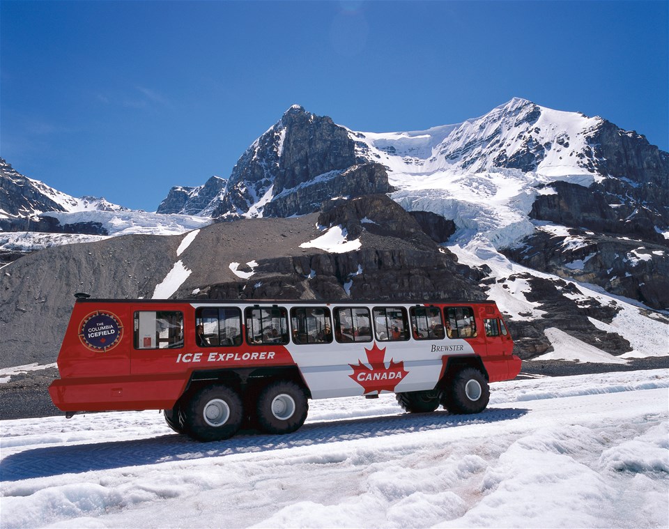 Columbia Icefield Discovery - Banff to Banff