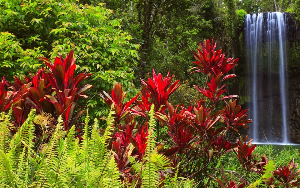 East Coast Islands & Rainforest