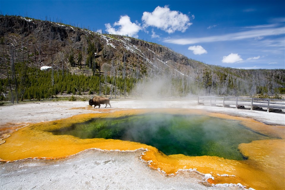 Spectacular Canyons and National Parks