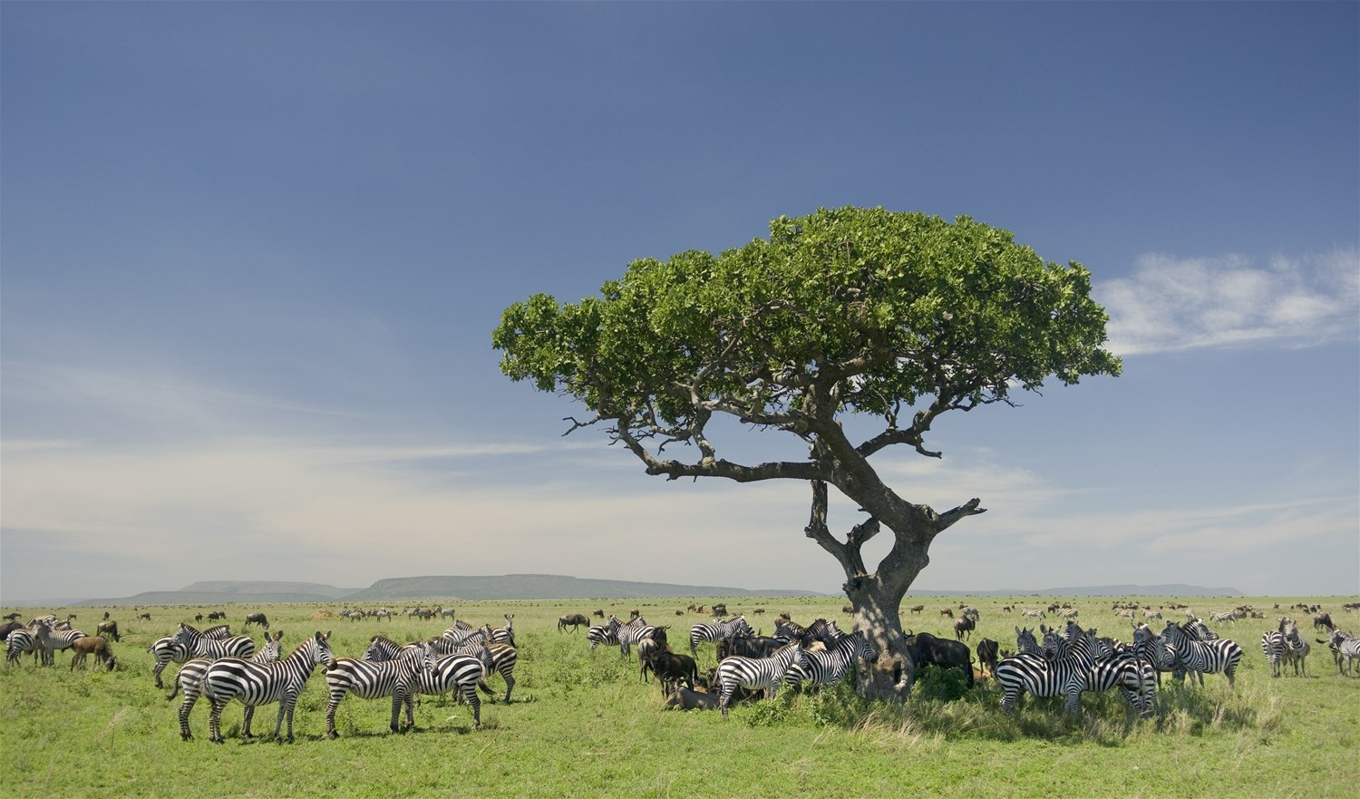 Serengeti National Park