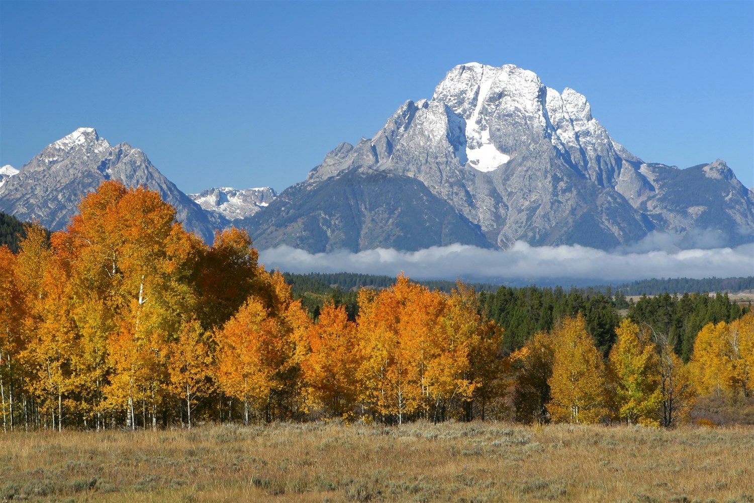 Colorado