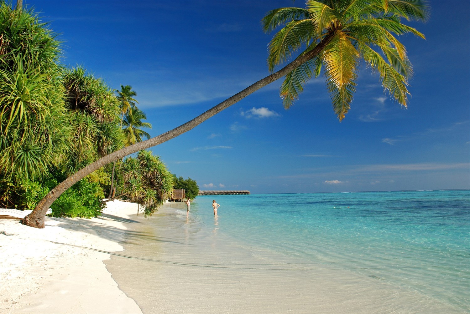 Maldives Holidays | Trailfinders