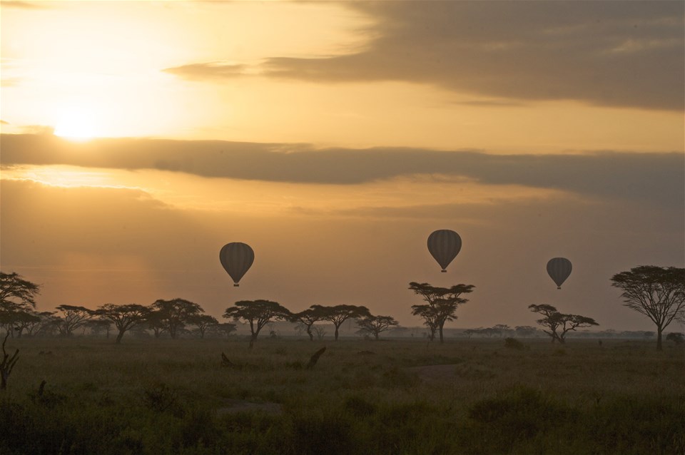 Serengeti Hot Air Balloon Safari