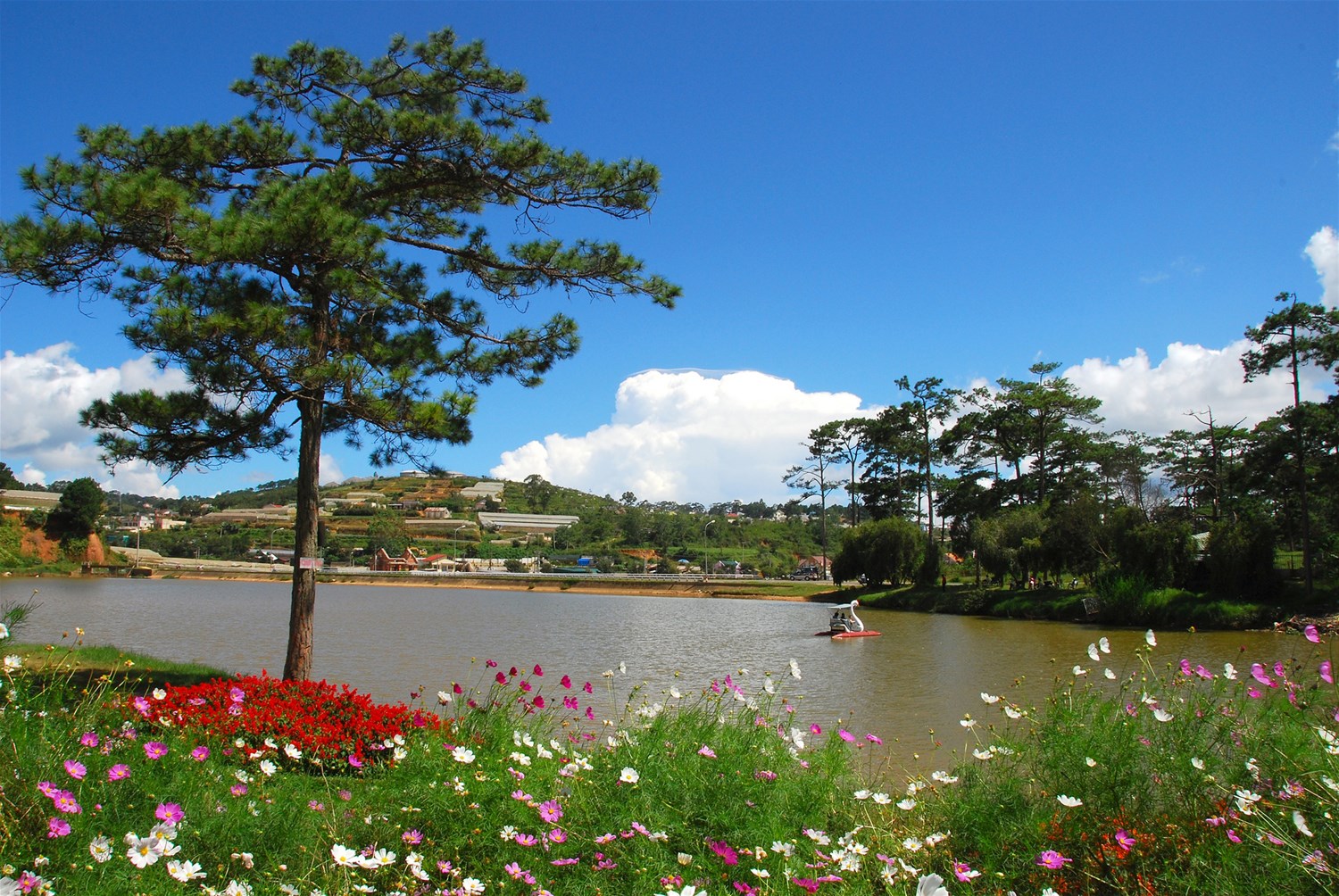 Dalat