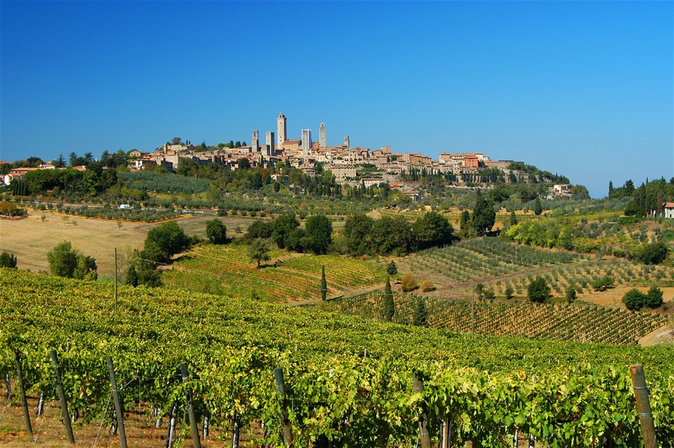 Tuscan Wine and Cheese from Florence