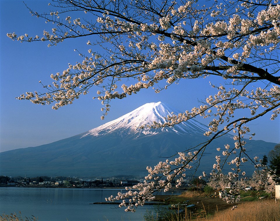 Mt Fuji Food and Culture tour