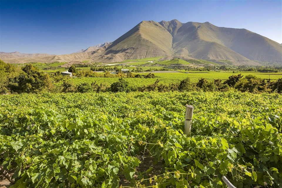 Elqui Valley Extension