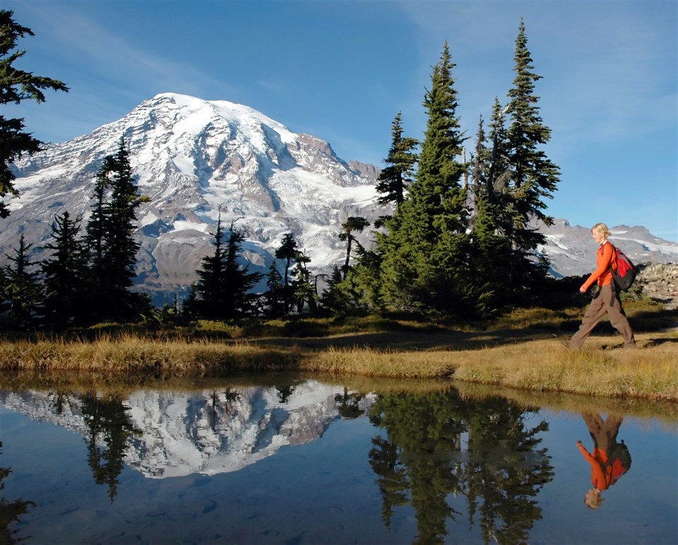 Mount Rainier National Park