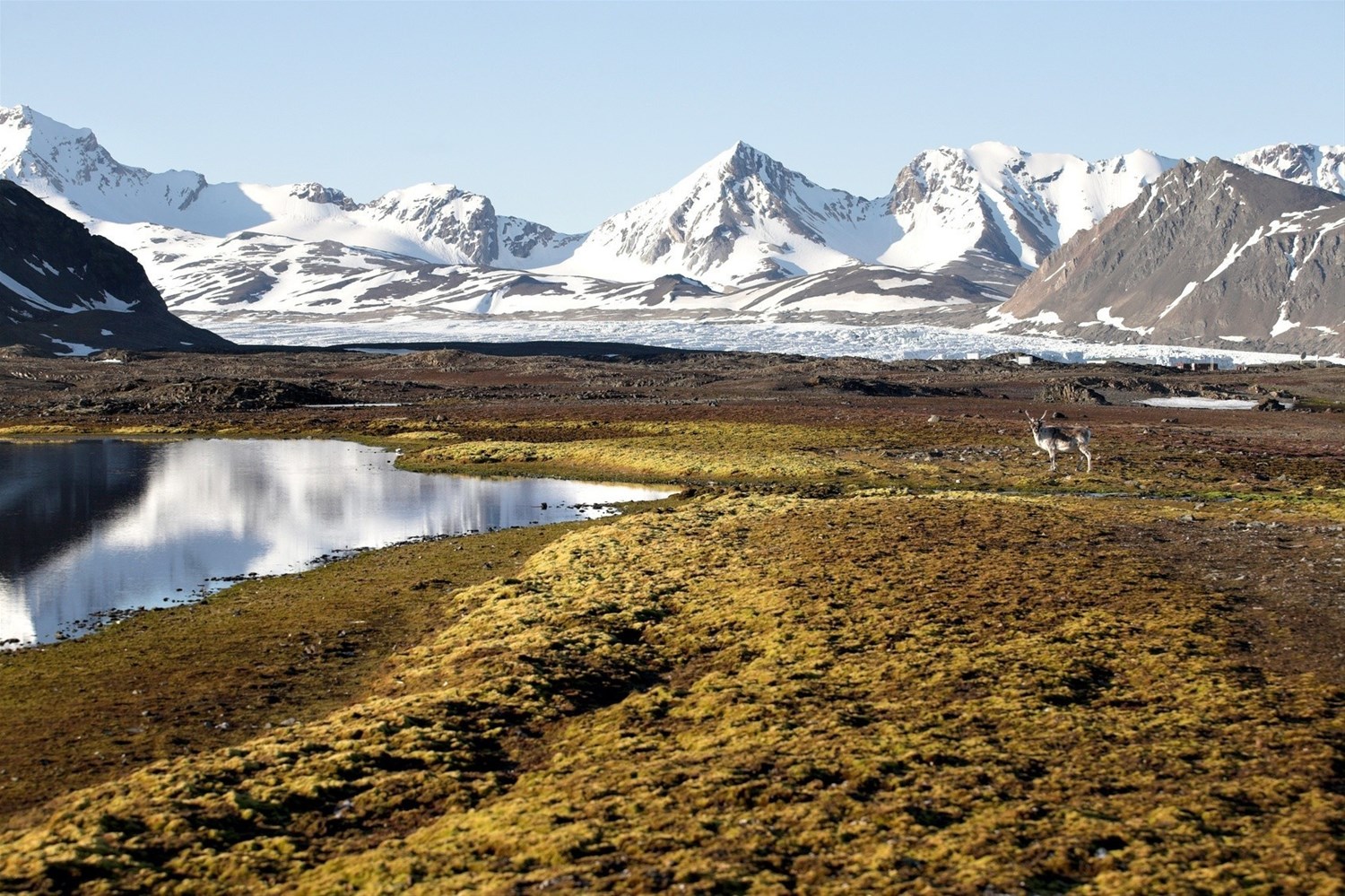 Svalbard