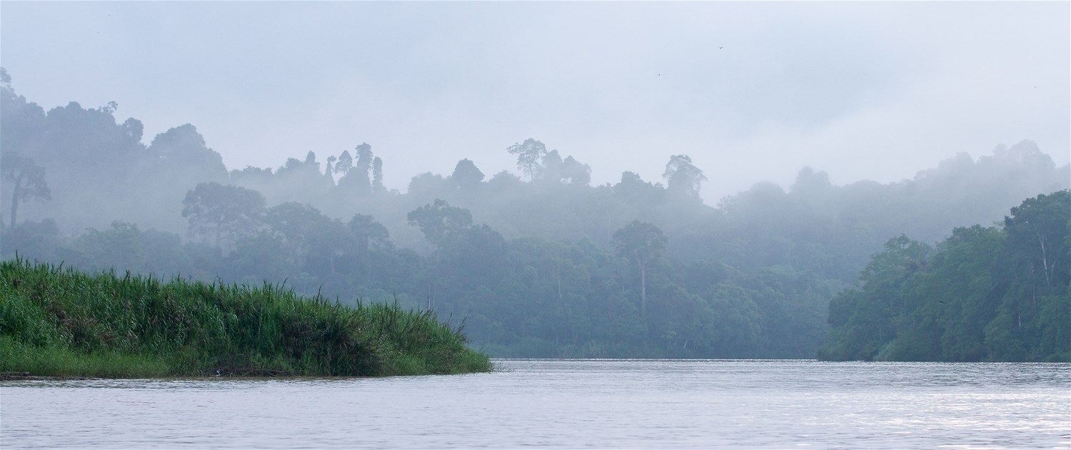 Kinabatangan River