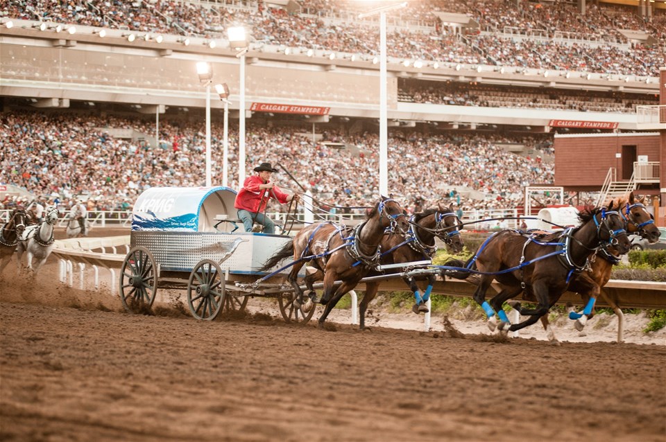 Calgary Stampede Extravaganza