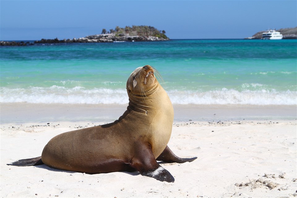 Galapagos Multisport With Quito