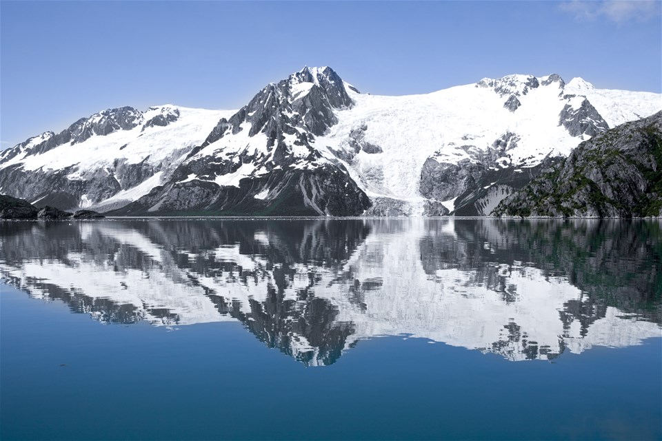 Resurrection Bay Wildlife Cruise