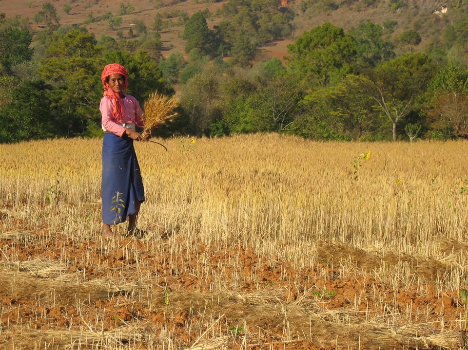 Shan Trek: Kalaw to Inle Lake