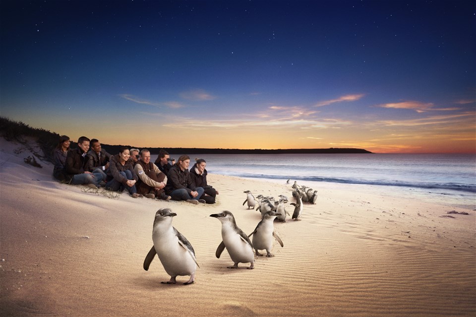 Ultimate Penguin Parade