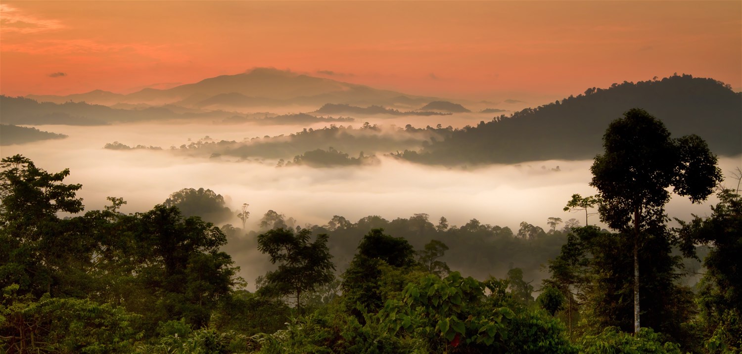 Danum Valley