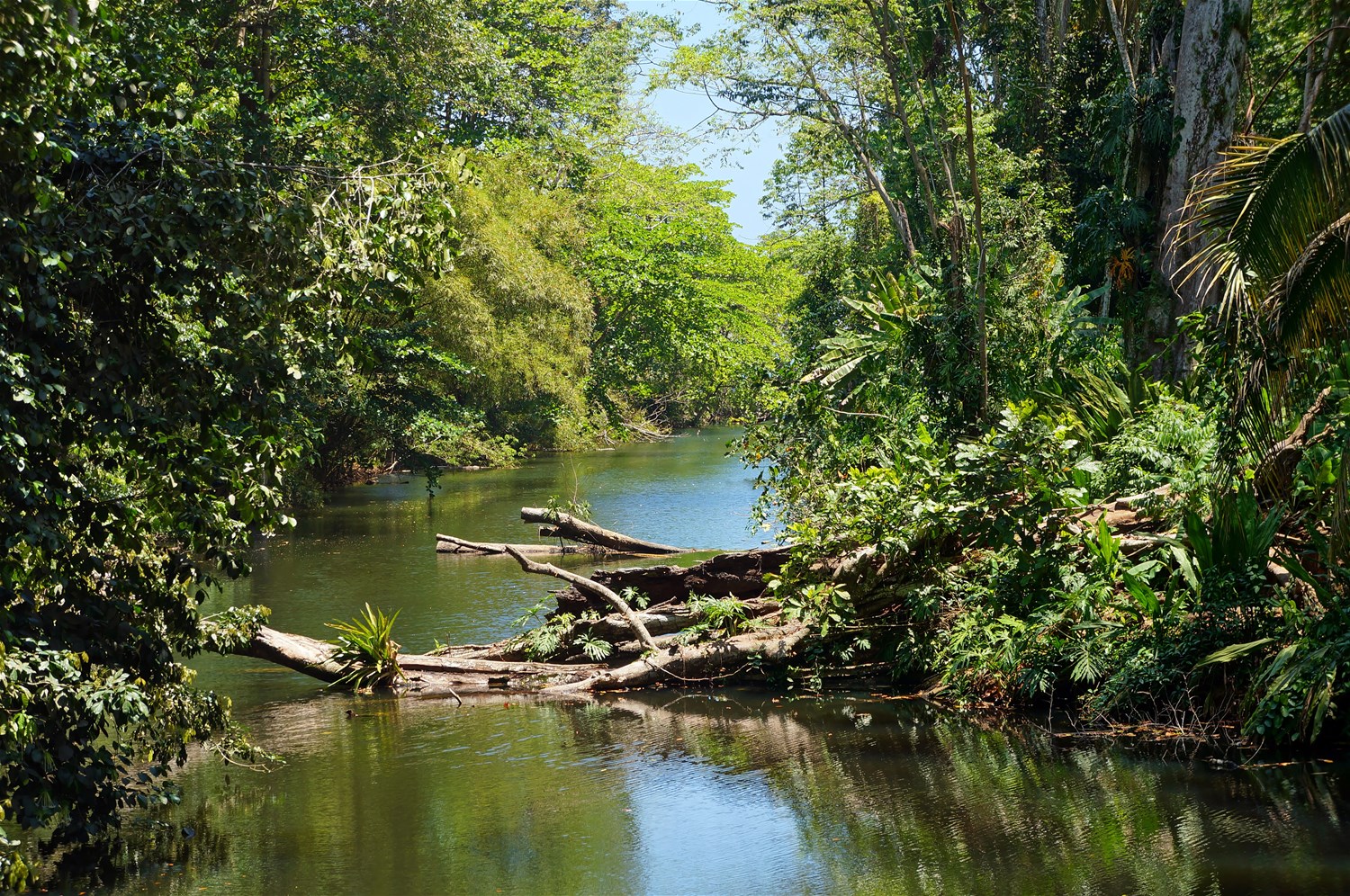 Puerto Viejo