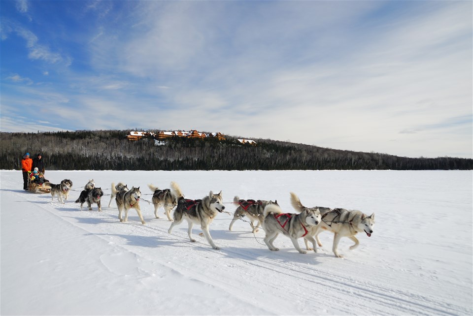 Carnival Cities & Winter Wilderness