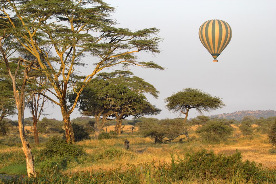 Ruaha Hot Air Balloon Safari