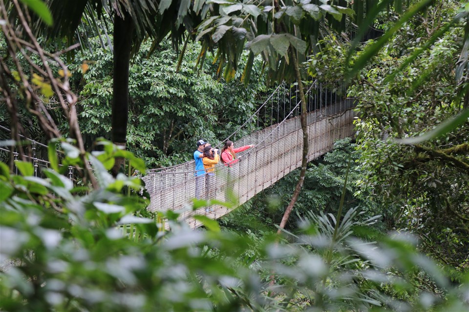 Arenal Hanging Bridges, Arenal